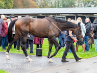 WG031025-57 - Jaramillo